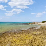 Lighthouse Beach (48)